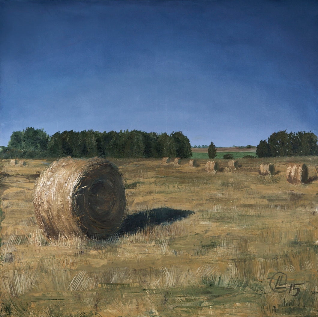 Golden Bales of Hay by the Salaca Banks