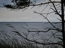 Load image into Gallery viewer, The Wild Dunes of Bernati
