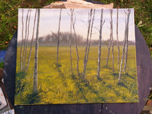 Load image into Gallery viewer, Birch Grove on a Sunny Evening
