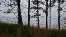 Load image into Gallery viewer, The Wild Dunes of Bernati
