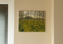 Load image into Gallery viewer, Birch Grove on a Sunny Evening
