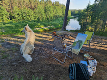 Load image into Gallery viewer, Cliff-top pine by the river
