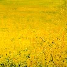 Load image into Gallery viewer, Colors of Ukraine, my Rapseed Field
