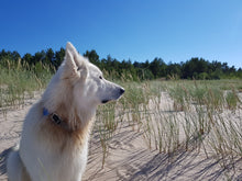 Load image into Gallery viewer, July Breeze by the Mikeltornis Lighthouse
