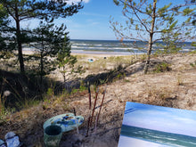 Load image into Gallery viewer, Windswept Baltic Beach
