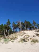 Load image into Gallery viewer, Elevated Horizons - Windy Dune of Bernati
