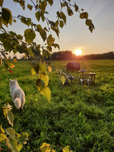 Load image into Gallery viewer, Summer Evening and Hay Bale
