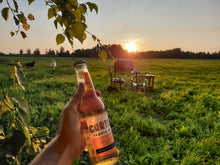 Load image into Gallery viewer, Summer Evening and Hay Bale
