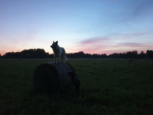 Load image into Gallery viewer, Summer Evening and Hay Bale
