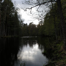 Load image into Gallery viewer, The Mystic Forest River
