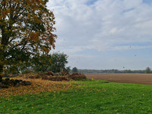 Load image into Gallery viewer, Rustic Ruins and Falling Autumn Leaves
