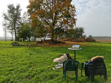 Load image into Gallery viewer, Rustic Ruins and Falling Autumn Leaves
