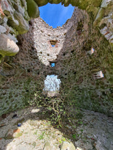 Load image into Gallery viewer, Ancient Mill Ruins in Early Spring
