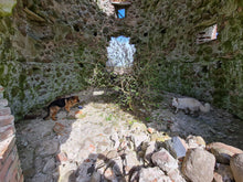 Load image into Gallery viewer, Ancient Mill Ruins in Early Spring
