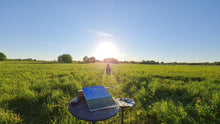 Load image into Gallery viewer, Dandelion Field on the Salaca Riverbank
