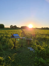 Load image into Gallery viewer, Dandelion Field on the Salaca Riverbank
