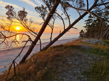 Load image into Gallery viewer, Sweeping Horizons - Bernati Dune Panorama
