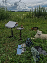 Load image into Gallery viewer, Summer Meadow in the Approaching Storm
