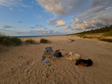 Load image into Gallery viewer, Seaside Majesty by the Mikeltornis Lighthouse
