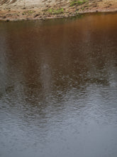 Load image into Gallery viewer, Riverbank Rainfall
