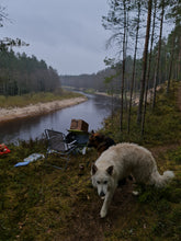 Load image into Gallery viewer, Riverbank Rainfall
