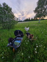 Load image into Gallery viewer, Oak&#39;s Shade by Salacas Meadow
