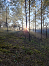 Load image into Gallery viewer, Summer Skies over the Baltic Sea
