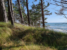 Load image into Gallery viewer, Breezy Gusts on the Dunes of Bernati
