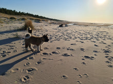 Load image into Gallery viewer, Horizonless - Baltic Sea Meets the Skies
