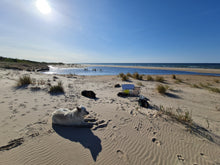 Load image into Gallery viewer, Untamed Horizon of the Baltic Sea
