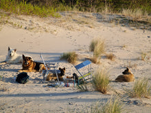 Load image into Gallery viewer, Untamed Horizon of the Baltic Sea
