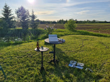 Load image into Gallery viewer, Evening Sun on Lilac Blooms
