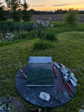 Load image into Gallery viewer, Evening Sun on Lilac Blooms
