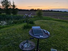 Load image into Gallery viewer, Evening Sun on Lilac Blooms
