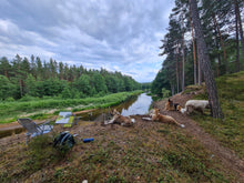 Load image into Gallery viewer, Charm of the Old River
