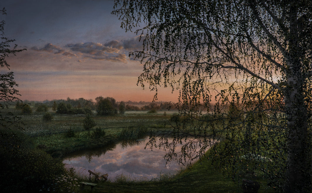 Sunrise Magic and the Old Birch