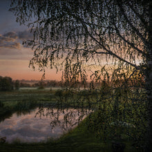 Load image into Gallery viewer, Sunrise Magic and the Old Birch
