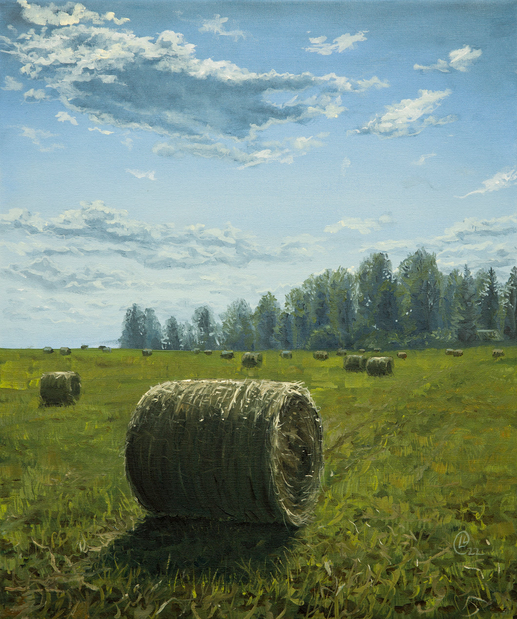 Hay Bales on a Hot Day by the Salaca Riverbank