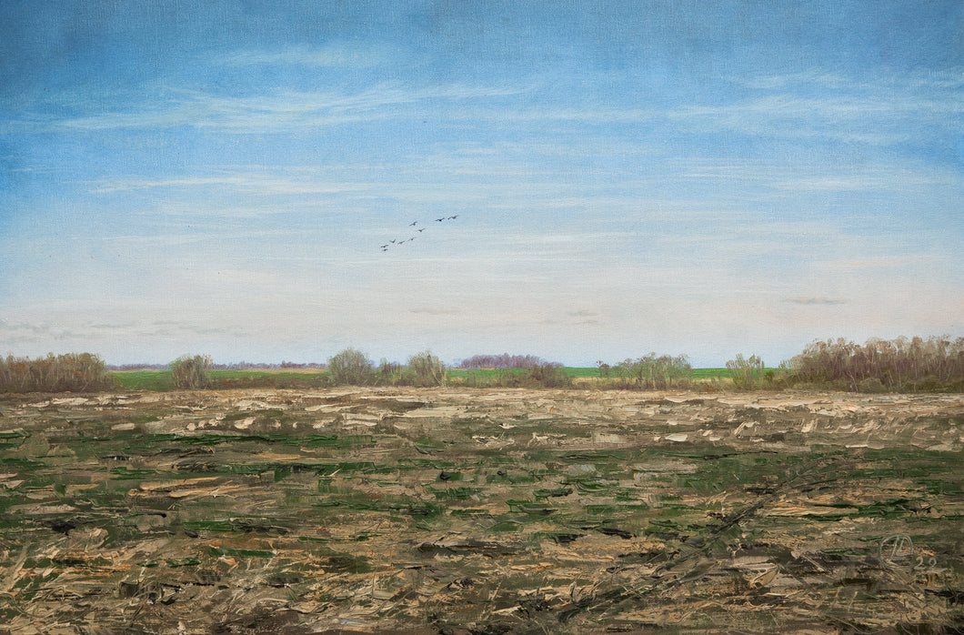 Early Spring Fields along Salaca Riverbank