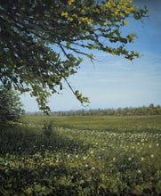 Load image into Gallery viewer, Oak&#39;s Shade by Salacas Meadow
