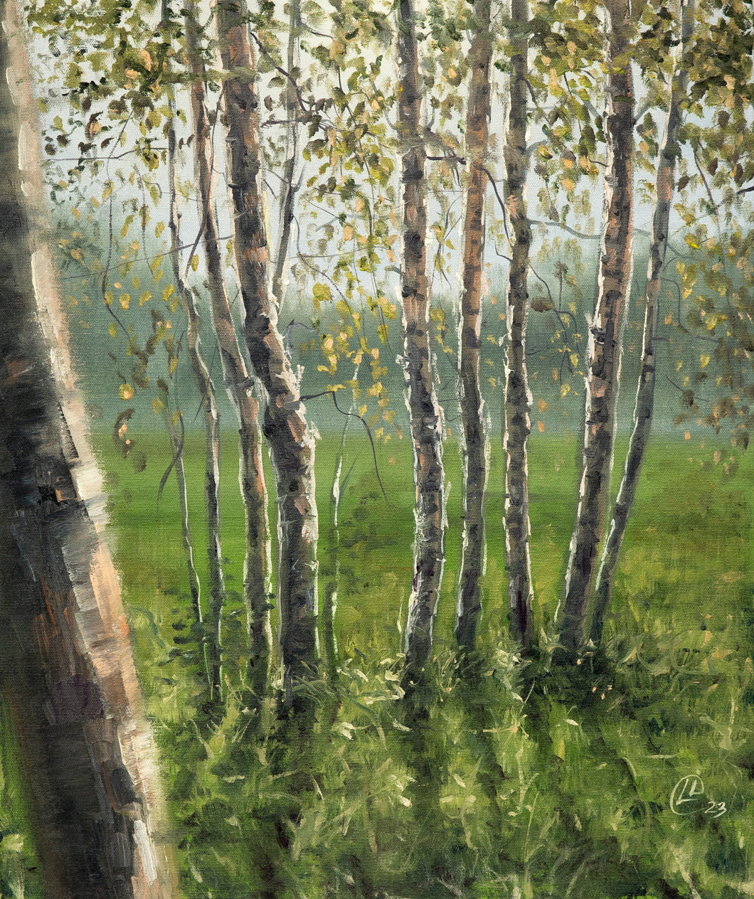 Sunlit Birch Symphony