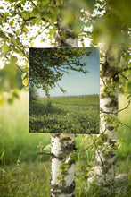 Load image into Gallery viewer, Oak&#39;s Shade by Salacas Meadow
