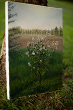 Load image into Gallery viewer, Evening Sun on Lilac Blooms
