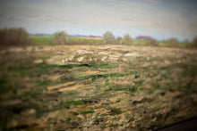 Load image into Gallery viewer, Early Spring Fields along Salaca Riverbank
